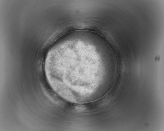 X0000112740214200909101523