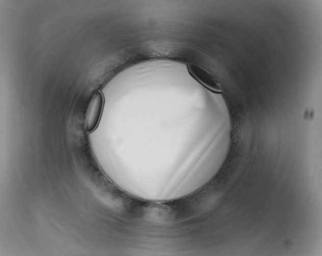 X0000112740215200909101523