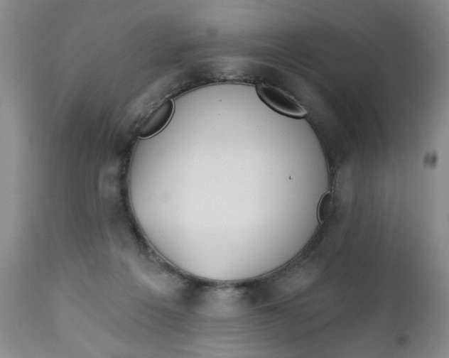 X0000112740217200909101523