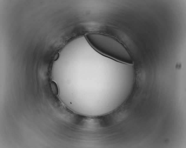 X0000112740221200909101523