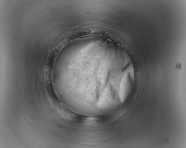 X0000112740222200909101523