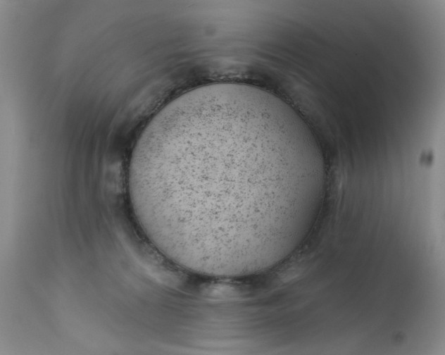 X0000112740224200909101523