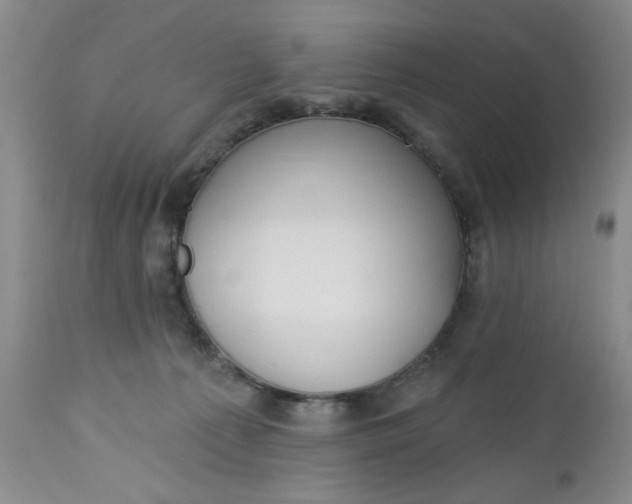 X0000112740225200909101523