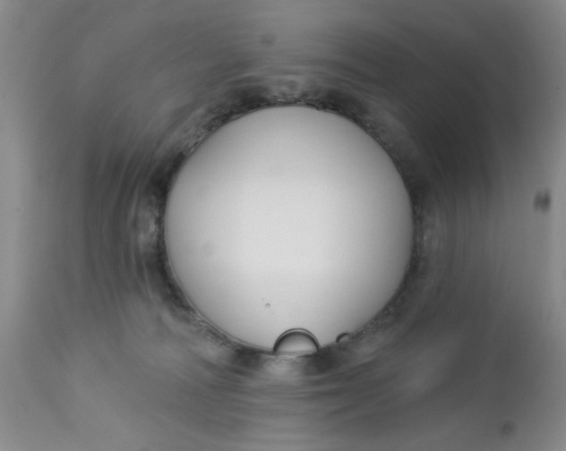 X0000112740226200909101523