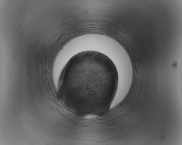 X0000112740227200909101523