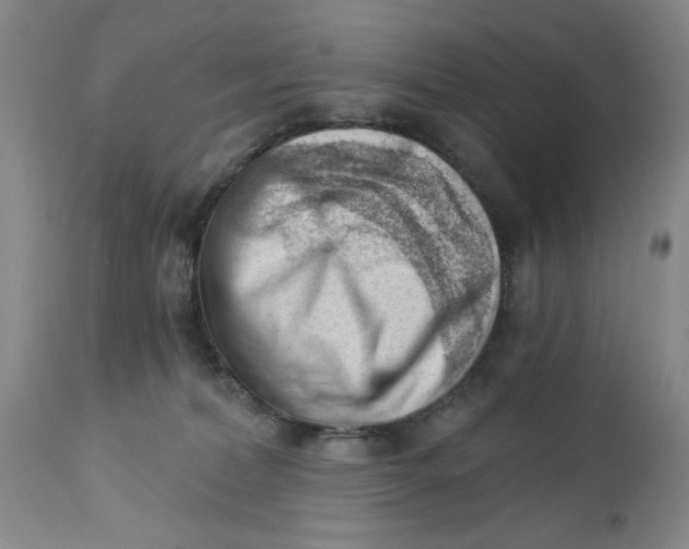 X0000112740228200909101523