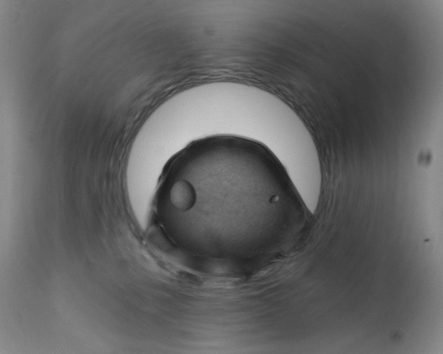 X0000112740231200909101523