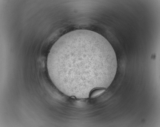 X0000112740232200909101523