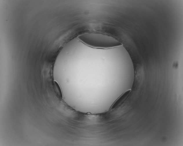 X0000112740233200909101523