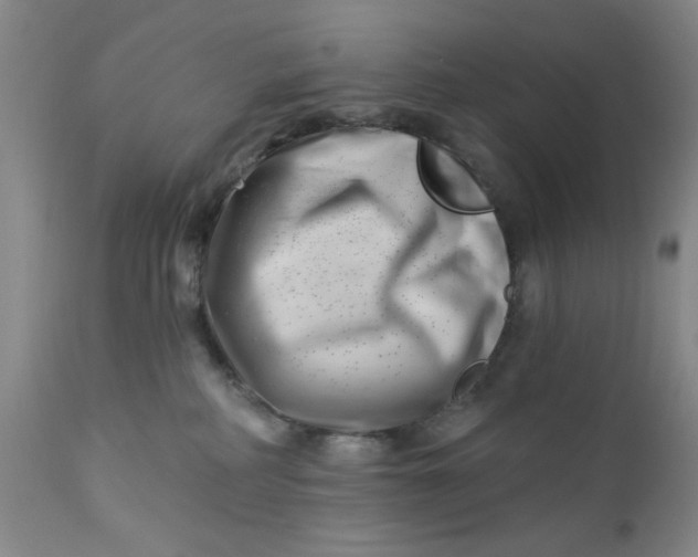 X0000112740234200909101523