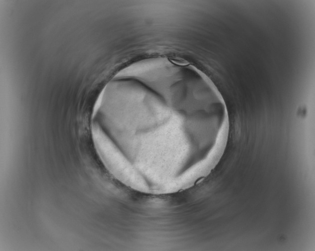 X0000112740236200909101523