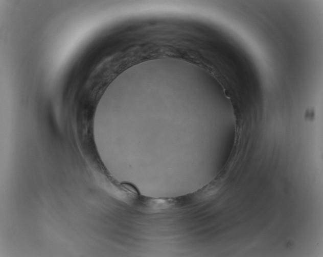 X0000112740239200909101523