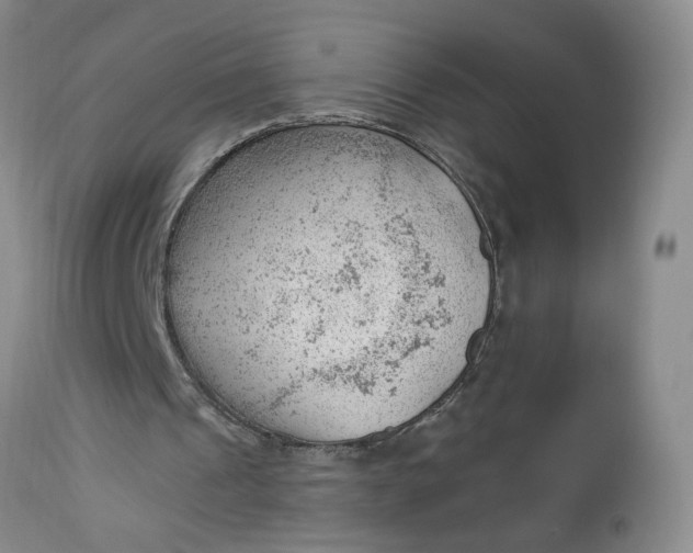 X0000112740241200909101522