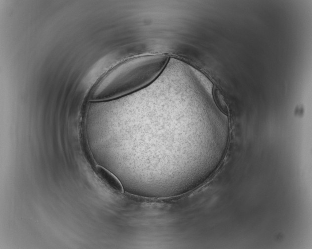 X0000112740242200909101522