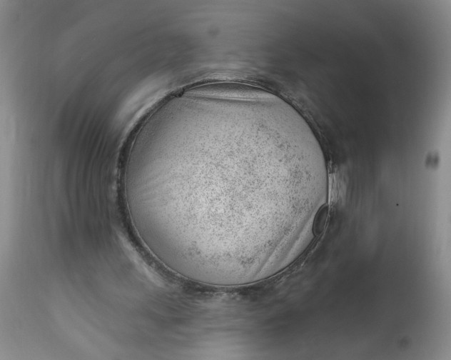 X0000112740243200909101522