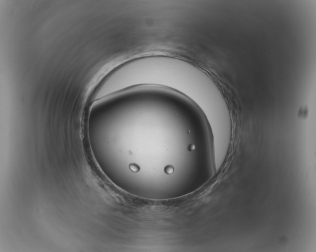 X0000112740244200909101522