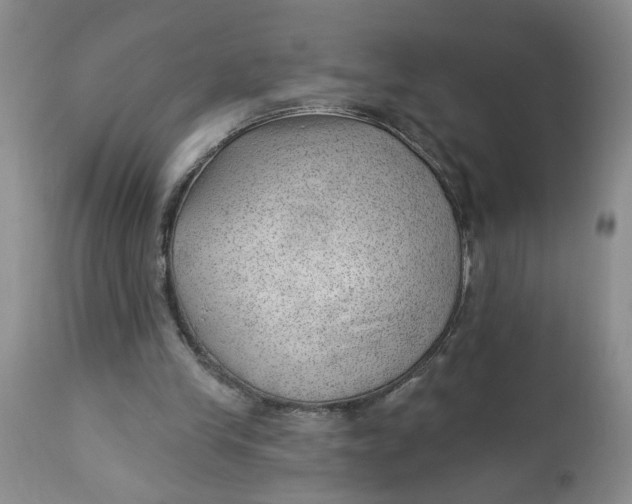 X0000112740245200909101522