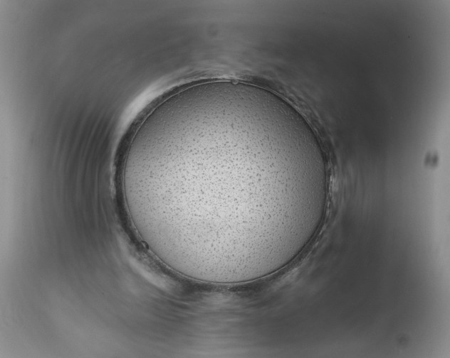 X0000112740246200909101522