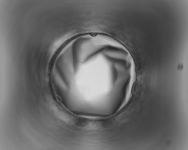 X0000112740248200909101522