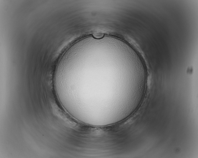 X0000112740249200909101522