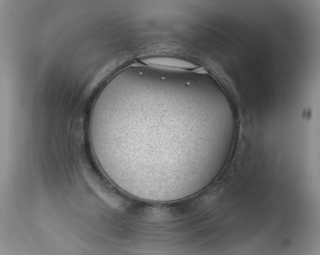 X0000112740250200909101522