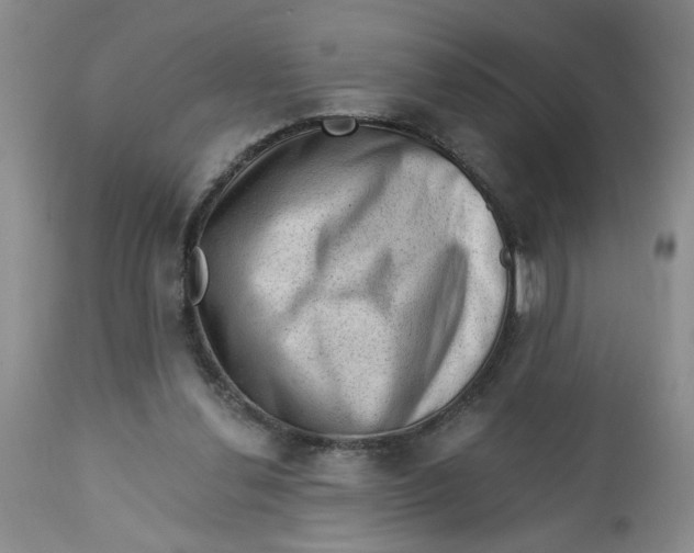 X0000112740252200909101522