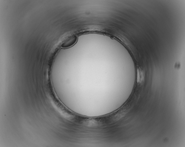 X0000112740253200909101522