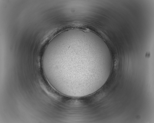 X0000112740254200909101522