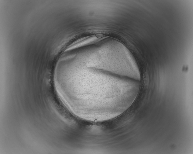 X0000112740255200909101522