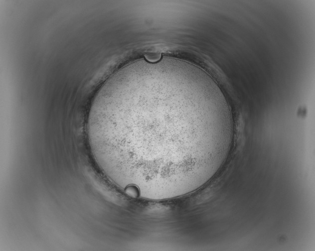 X0000112740257200909101522