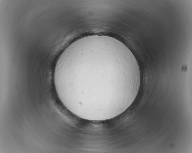 X0000112740260200909101522