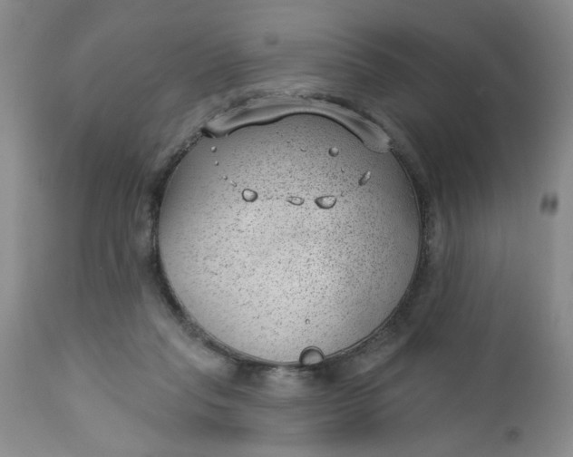 X0000112740261200909101523