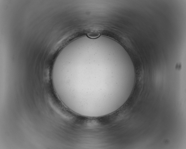 X0000112740262200909101523