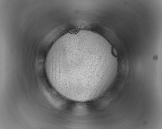 X0000112740263200909101523