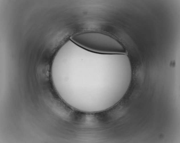 X0000112740264200909101523