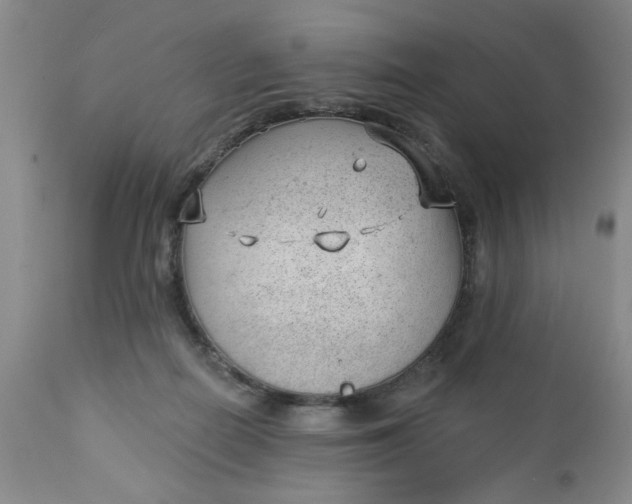 X0000112740266200909101523