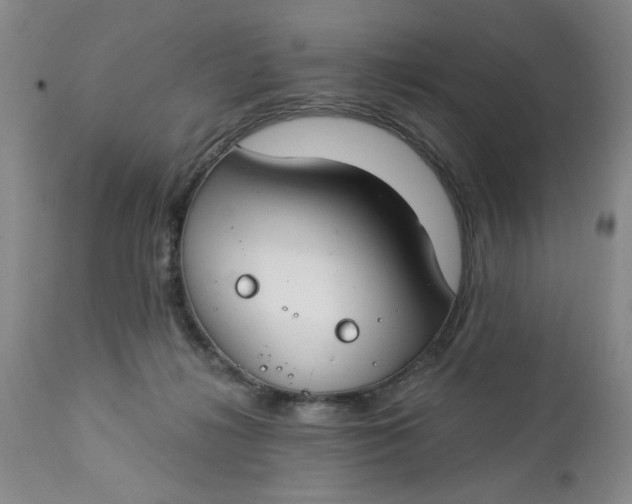 X0000112740268200909101523