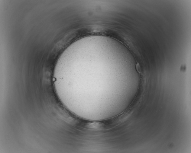 X0000112740269200909101523