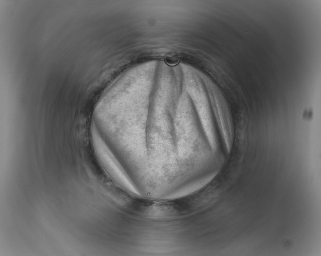 X0000112740270200909101523