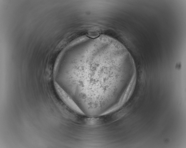 X0000112740273200909101523