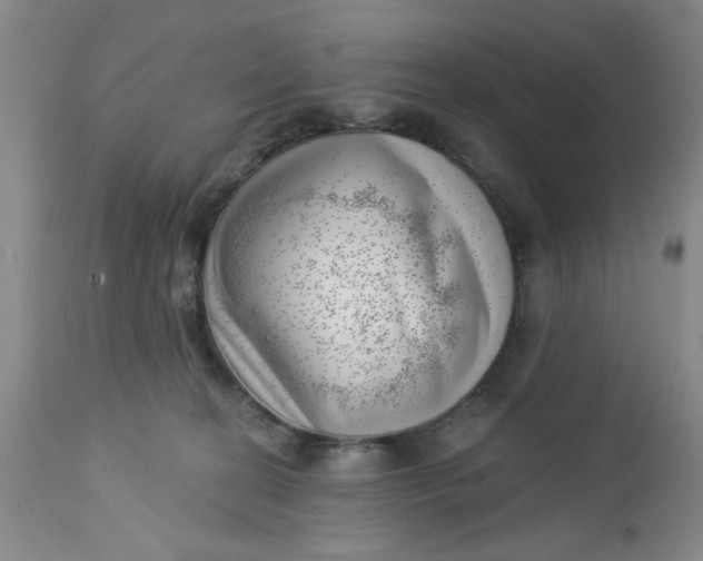 X0000112740274200909101523