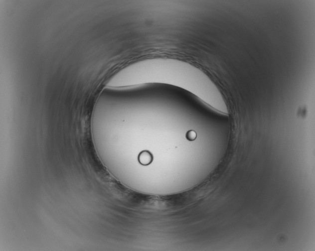 X0000112740276200909101523