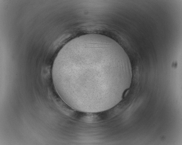 X0000112740278200909101523