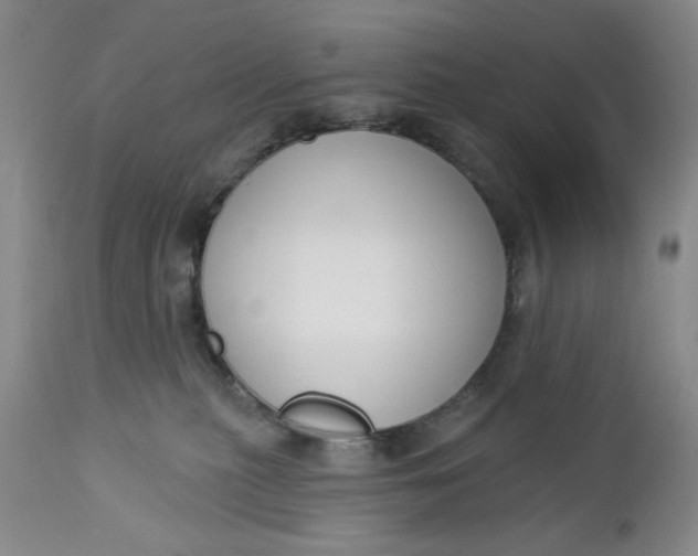 X0000112740279200909101523