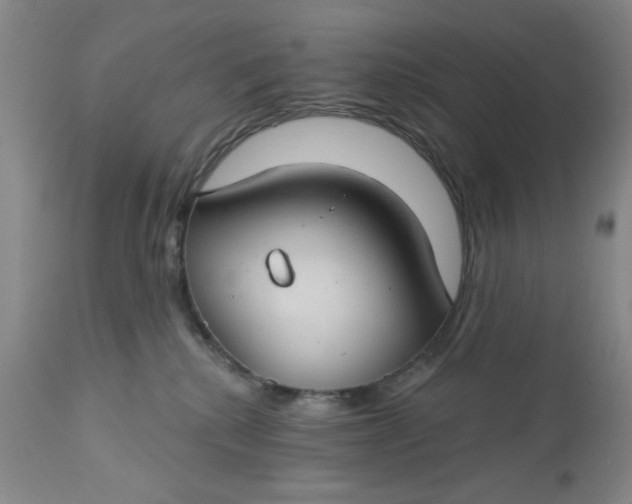 X0000112740280200909101523