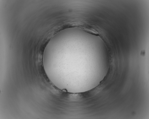 X0000112740281200909101523