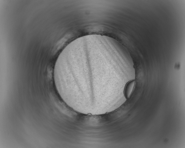 X0000112740282200909101523