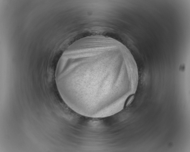 X0000112740283200909101523