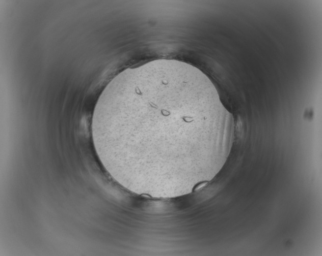 X0000112740286200909101523