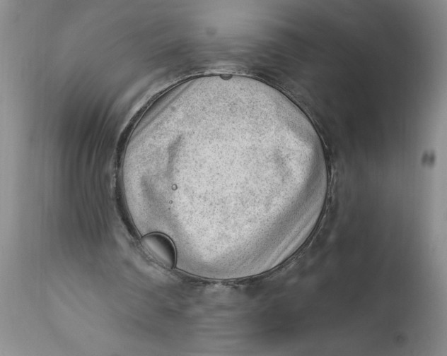 X0000112740290200909101522